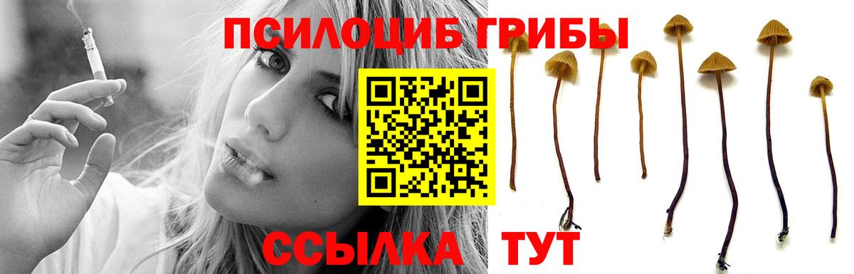 Димитровград  купить наркотики сайты  Вход с VPN  Псилоцибиновые грибы прущие грибы 